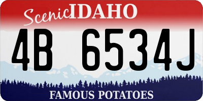 ID license plate 4B6534J