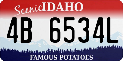 ID license plate 4B6534L