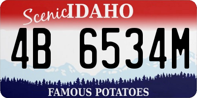 ID license plate 4B6534M