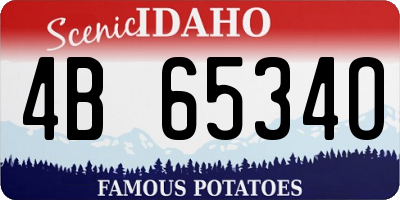 ID license plate 4B6534O