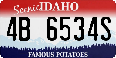 ID license plate 4B6534S