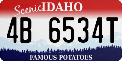 ID license plate 4B6534T