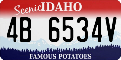 ID license plate 4B6534V