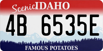 ID license plate 4B6535E