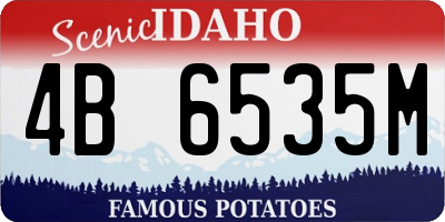 ID license plate 4B6535M