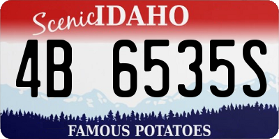 ID license plate 4B6535S
