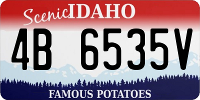 ID license plate 4B6535V