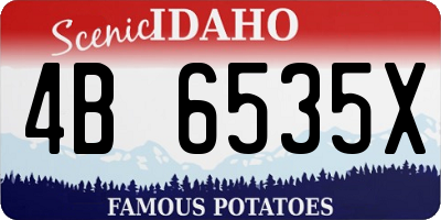 ID license plate 4B6535X