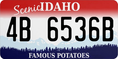 ID license plate 4B6536B