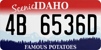 ID license plate 4B6536D