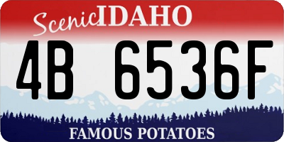 ID license plate 4B6536F