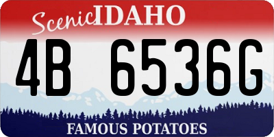 ID license plate 4B6536G