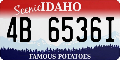 ID license plate 4B6536I