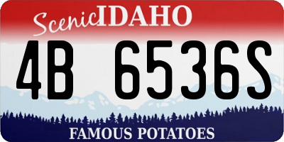 ID license plate 4B6536S