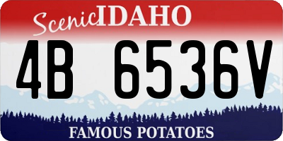 ID license plate 4B6536V