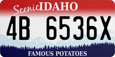 ID license plate 4B6536X
