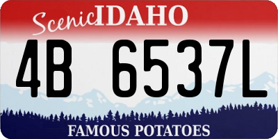 ID license plate 4B6537L