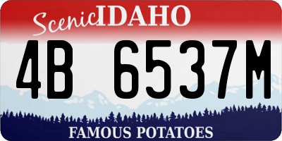 ID license plate 4B6537M