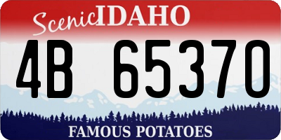 ID license plate 4B6537O