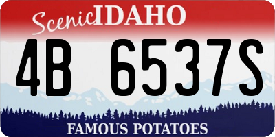 ID license plate 4B6537S