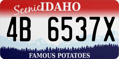 ID license plate 4B6537X