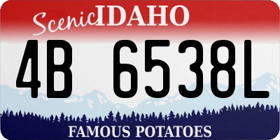 ID license plate 4B6538L