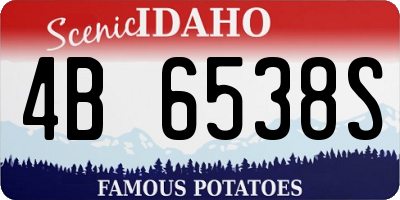 ID license plate 4B6538S