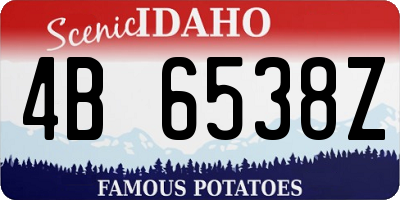 ID license plate 4B6538Z