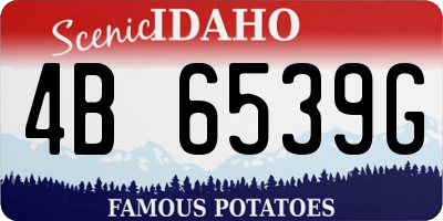ID license plate 4B6539G