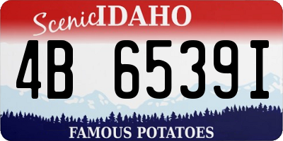ID license plate 4B6539I