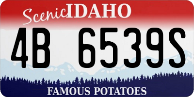 ID license plate 4B6539S