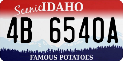 ID license plate 4B6540A