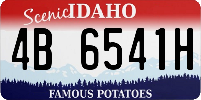 ID license plate 4B6541H
