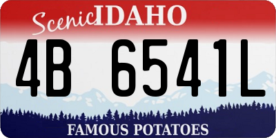 ID license plate 4B6541L