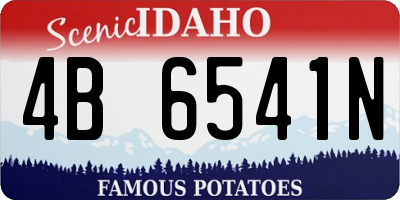 ID license plate 4B6541N