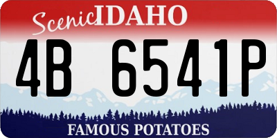 ID license plate 4B6541P