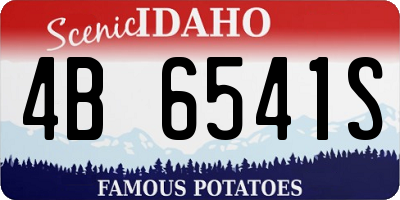 ID license plate 4B6541S