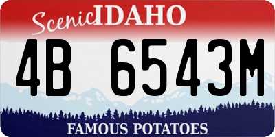 ID license plate 4B6543M