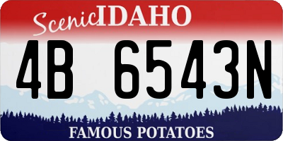 ID license plate 4B6543N