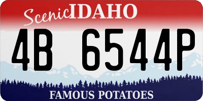 ID license plate 4B6544P