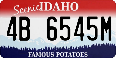 ID license plate 4B6545M