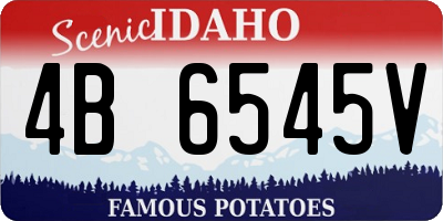 ID license plate 4B6545V