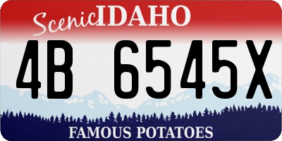 ID license plate 4B6545X