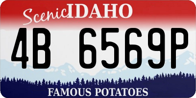 ID license plate 4B6569P