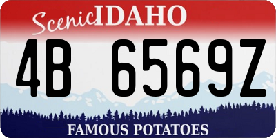 ID license plate 4B6569Z