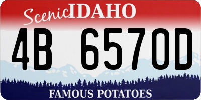 ID license plate 4B6570D
