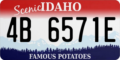ID license plate 4B6571E