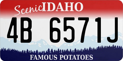 ID license plate 4B6571J