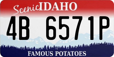 ID license plate 4B6571P