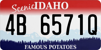 ID license plate 4B6571Q